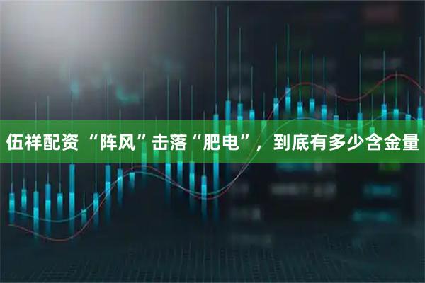 伍祥配资 “阵风”击落“肥电”，到底有多少含金量